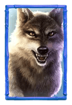 bufallowin wolf
