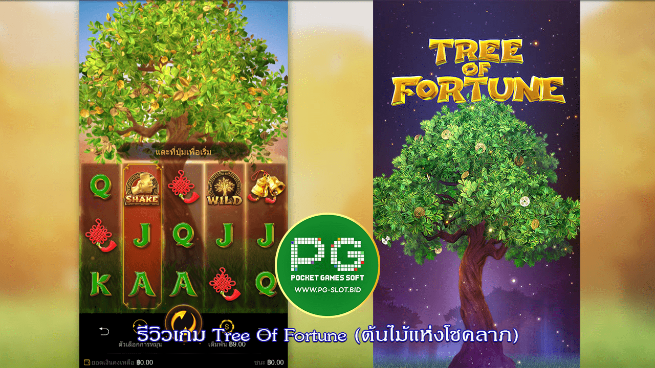 รีวิวเกม Tree Of Fortune (ต้นไม้แห่งโชคลาภ)