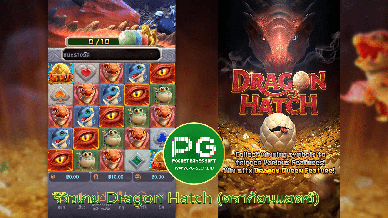 รีวิวเกม Dragon Hatch