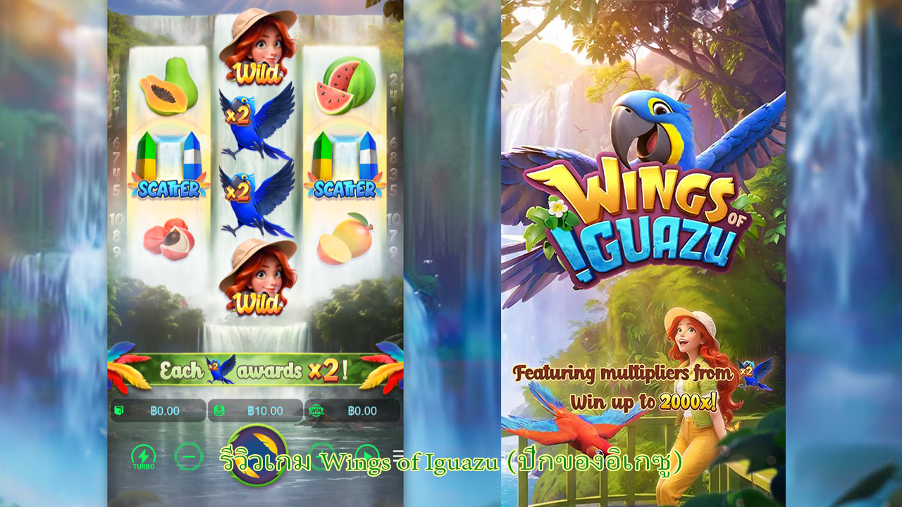 รีวิวเกม Wings of Iguazu