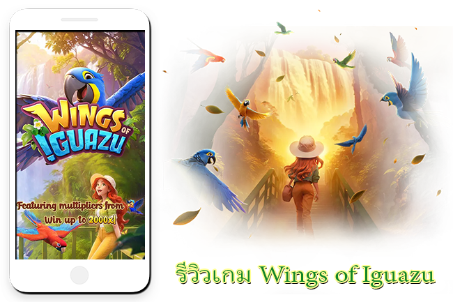 รีวิวเกม Wings of Iguazu