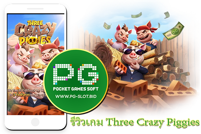 รีวิวเกม Three Crazy Piggies